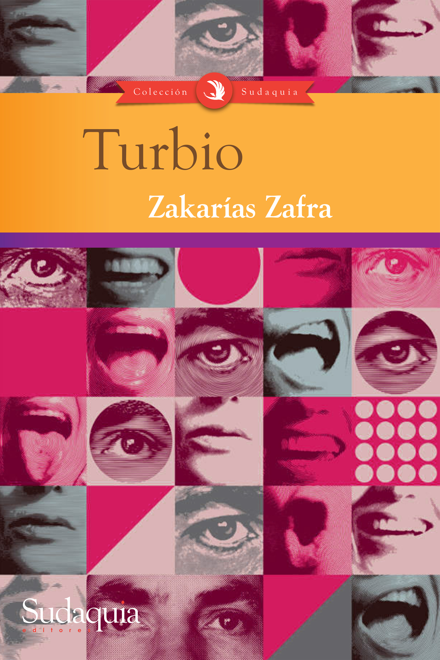Turbio book cover